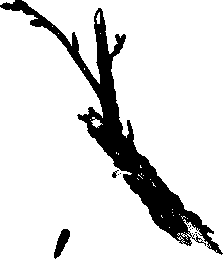 062/062260070200510_0.png