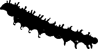 062/062260070200580_0.png