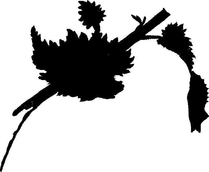 062/062260070200580_1.png