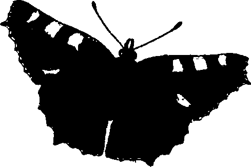 062/062260070200580_2.png