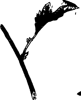 062/062260070200680_0.png