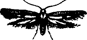 062/062260070200730_0.png