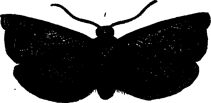 062/062260070200730_1.png