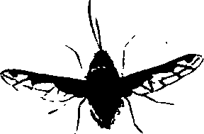 062/062260070200930_0.png