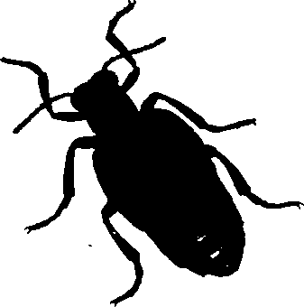 062/062260070200960_0.png