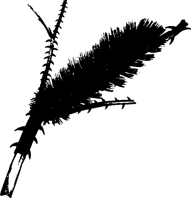 062/062260070201030_0.png