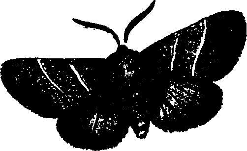 062/062260070201030_1.png