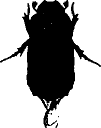 062/062260070201060_0.png