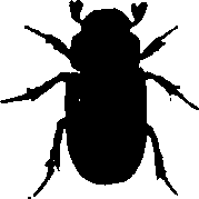 062/062260070201060_1.png