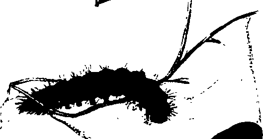 062/062260070201100_0.png