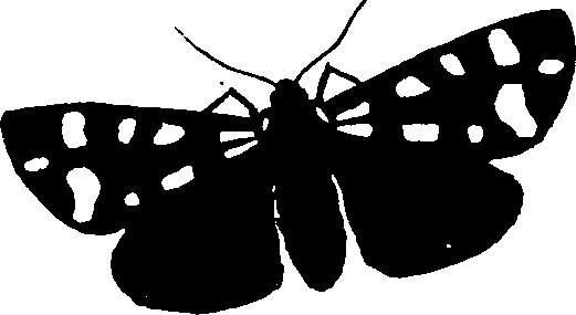 062/062260070201100_1.png