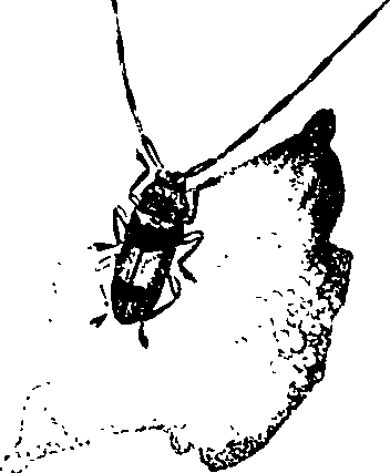 062/062260070201130_0.png