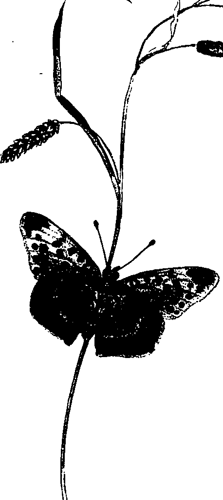 062/062260070300020_0.png