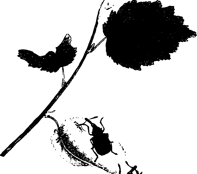 062/062260070300050_0.png