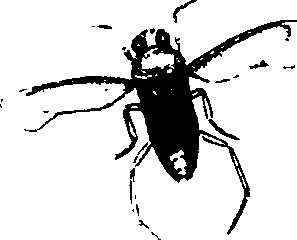 062/062260070300090_0.png