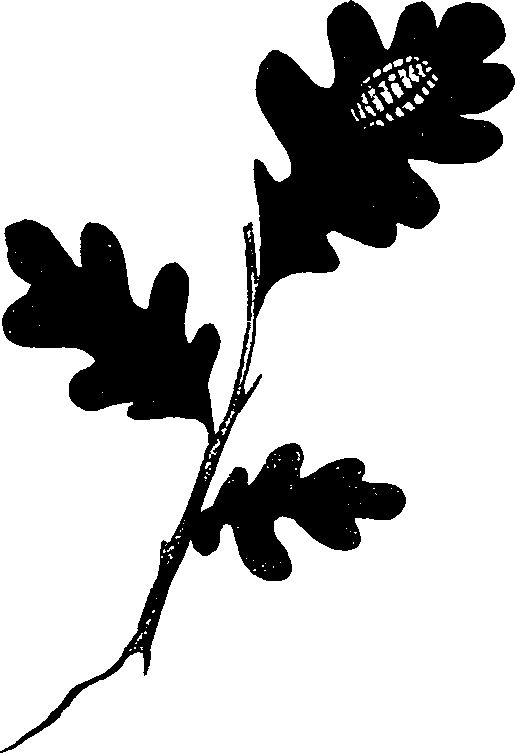 062/062260070300120_0.png