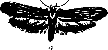 062/062260070300160_0.png