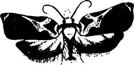 062/062260070300160_1.png