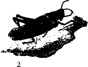 062/062260070300230_0.png