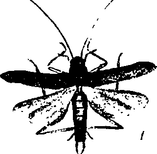 062/062260070300230_1.png