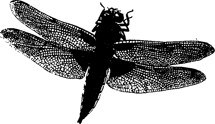 062/062260070300290_0.png