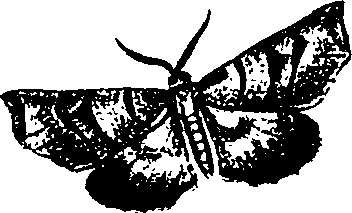 062/062260070300320_1.png
