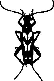 062/062260070300380_0.png