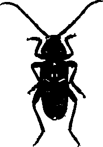 062/062260070300380_1.png