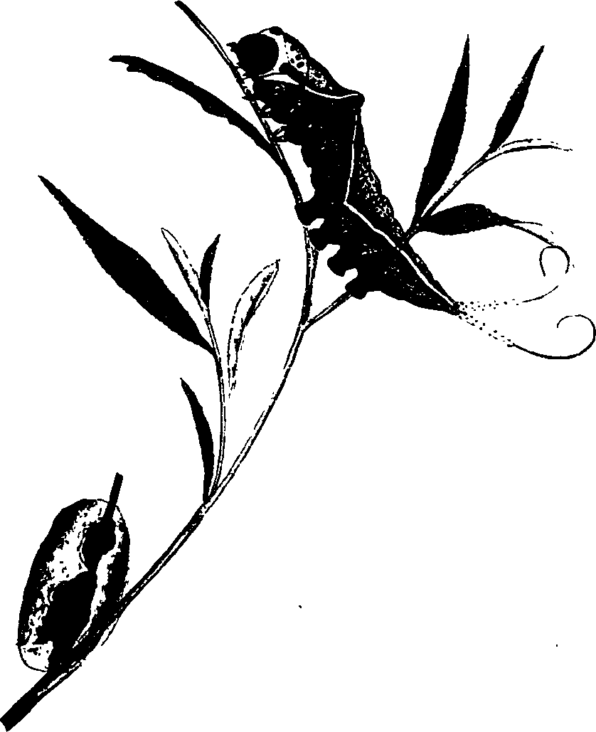 062/062260070300430_0.png