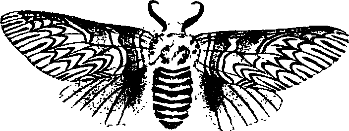 062/062260070300430_1.png
