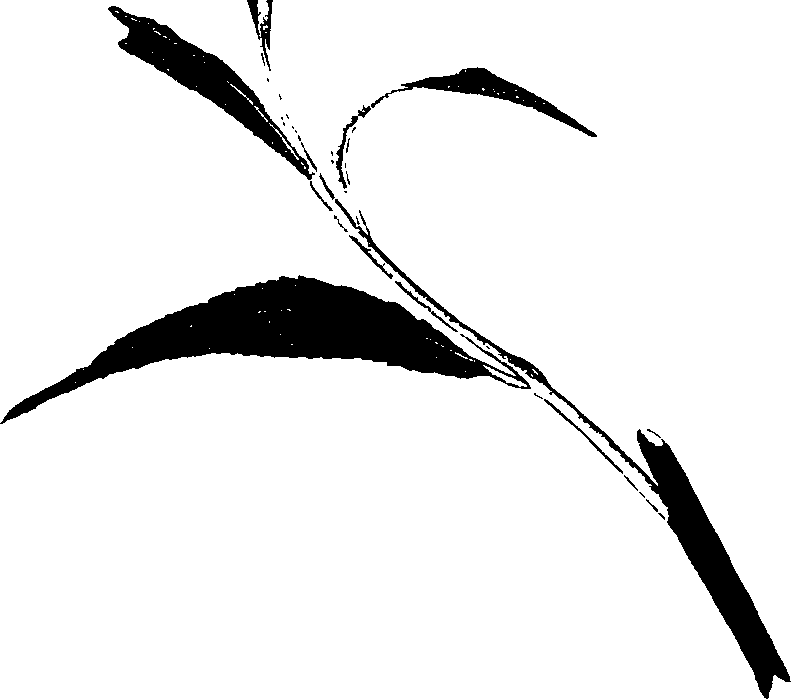 062/062260070300480_0.png