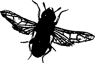 062/062260070300510_0.png