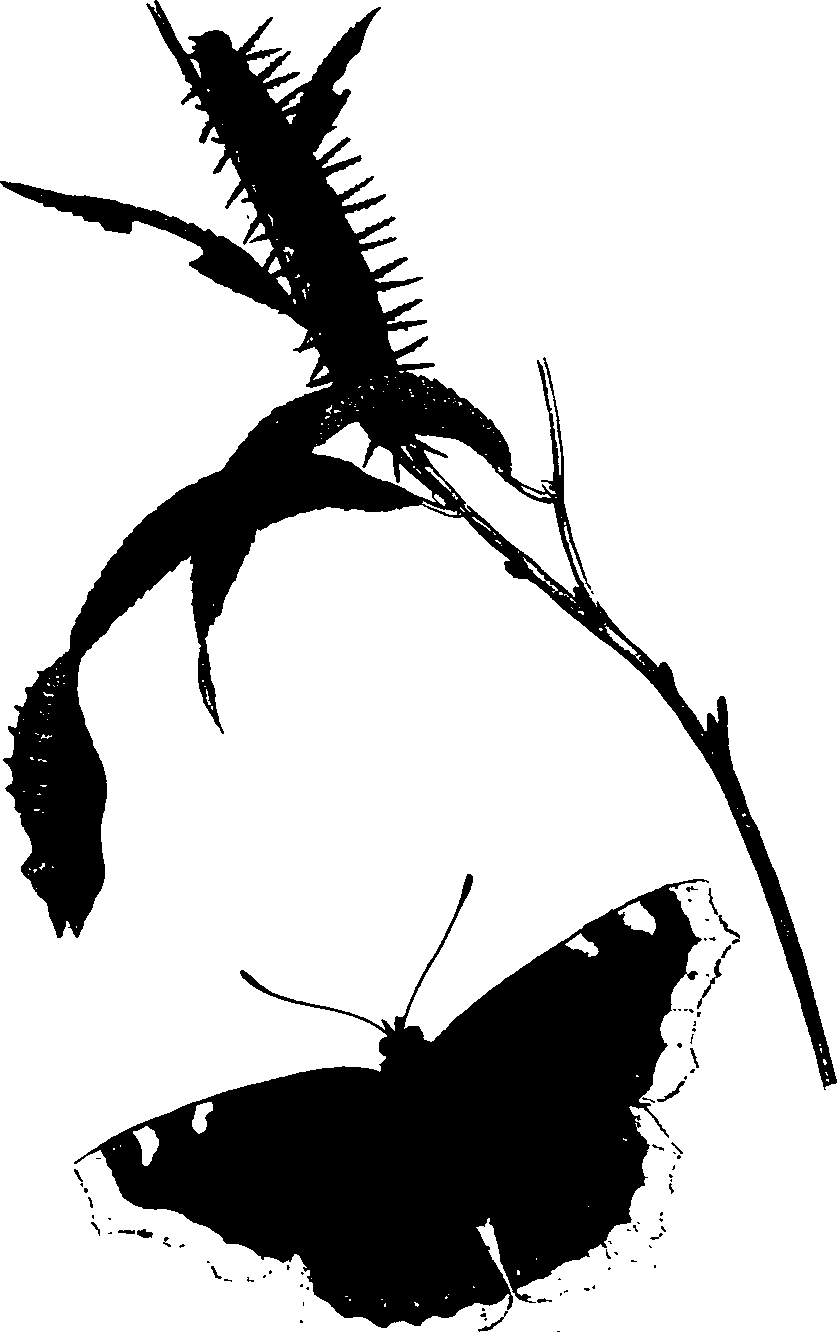 062/062260070300560_0.png
