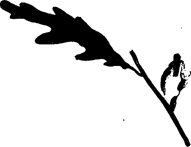 062/062260070300600_1.png