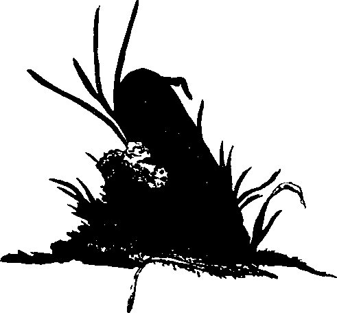 062/062260070300630_0.png