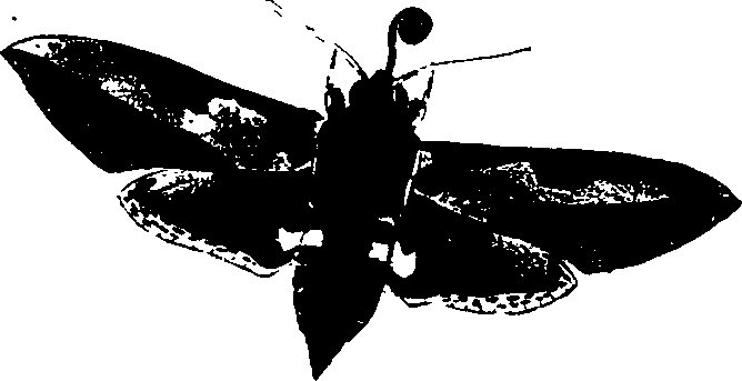 062/062260070300630_1.png