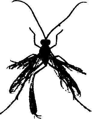 062/062260070300680_0.png