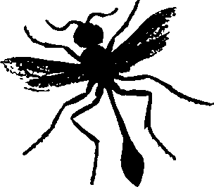 062/062260070300680_1.png