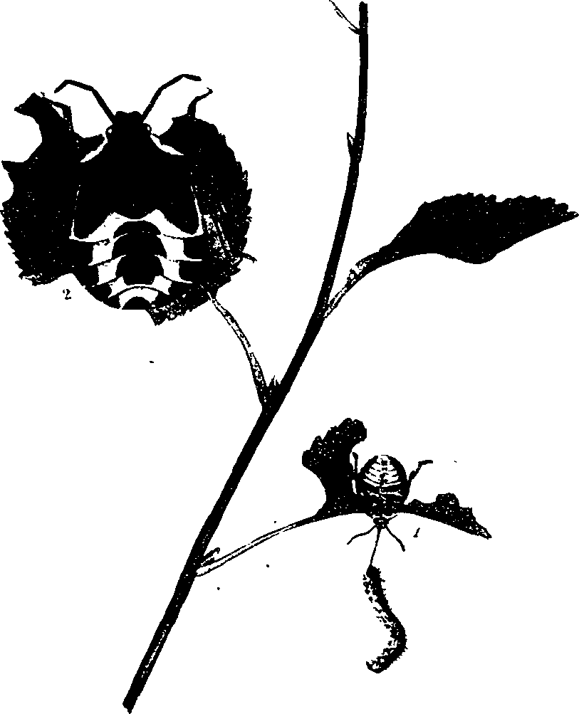 062/062260070300850_0.png