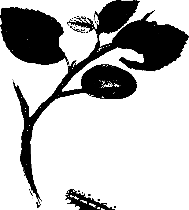 062/062260070300900_0.png