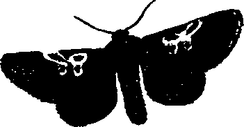 062/062260070300900_1.png