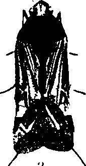 062/062260070300930_0.png