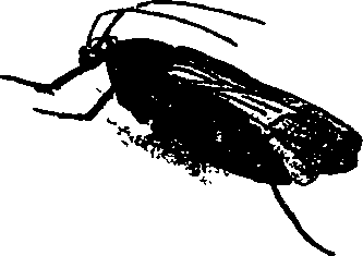 062/062260070300930_1.png