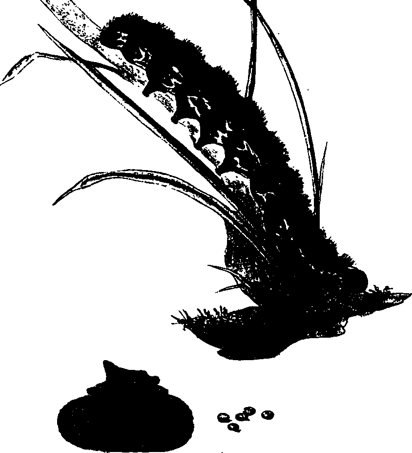062/062260070300990_0.png