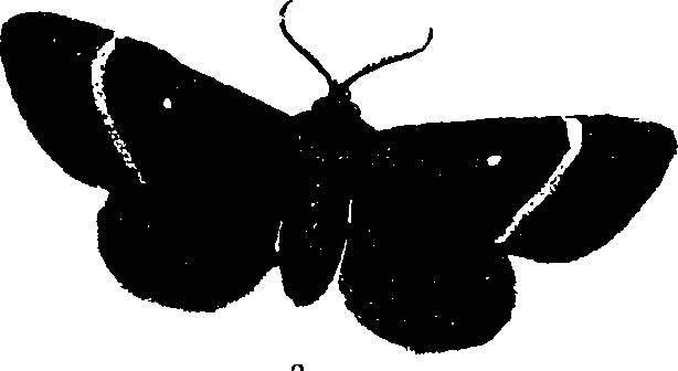 062/062260070301020_0.png