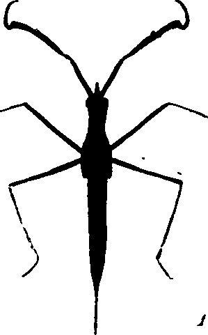 062/062260070301040_0.png