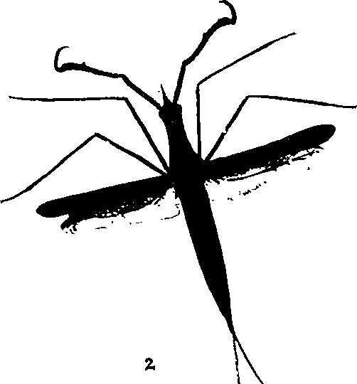 062/062260070301040_1.png