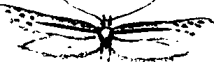 062/062260070301070_0.png