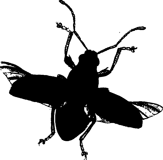 062/062260070301120_0.png