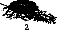 062/062260070400080_0.png